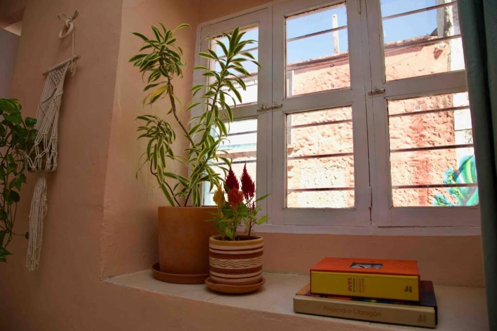 Great Location ! 4 Bedroom Home In The Heart Of Cartagena Eksteriør billede